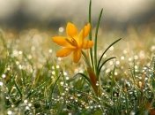 В некоторых регионах пройдут дожди, даже со снегом