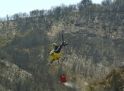 Вокруг столицы США бушуют лесные пожары