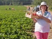 Рева: Пенсию сможет получать лишь каждый третий украинец, работающий в Польше