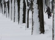 МИД Украины не рекомендует ехать в Румынию 