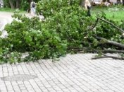 Шторм в Одессе ломает деревья и обрывает провода, есть пострадавшие