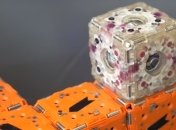 "Робокубики" возвращаются: проект M-Blocks получил апгрейд (Видео)