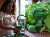 Перед вживанням зелень потрібно ретельно помити