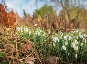 В Україні буде найтепліше: прогноз погоди на 4-5 березня