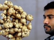 Очистка организма и похудения с помощью имбиря