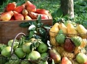 Что следует кушать офисным работникам?