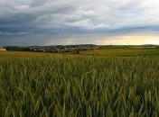 В Украину возвращается жара, но запад еще будет заливать 