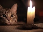 Иллюстративное фото