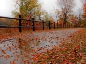 Теплый осенний дождь