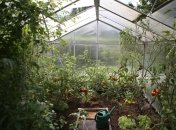 Раскрываем большой секрет