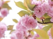 Какой будет погода в Украине в апреле