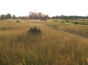 У Кличко заявили об угрозе острову Муромец 