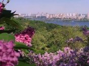 Прогноз погоды 21 мая в Украине: местами пройдут дожди с грозами
