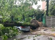 Поваленные деревья, задержка поездов и травмированные люди: последствия непогоды на западе Украины (фото, видео)