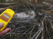 ГСЧС: Радиационный фон в зоне отчуждения не превысил норму