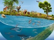 Карманная акула, кот-лисица, жук Греты: удивительные животные, открытые лишь в 2019 году