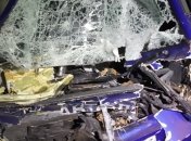 В Николаевской области автобус влетел в грузовик: есть пострадавшие (Фото)