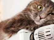 Стало известно, когда в Киеве отключат отопление