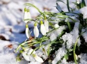 Найкращі вітання з першим лютого