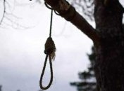 Петля на дереве