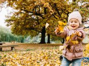 Стоять яскраві осінні дні