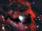 Астрономы сфотографировали голову Чайки