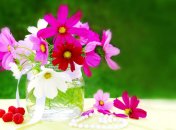 23 июня. Приметы дня