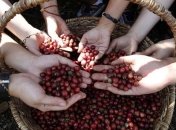 Как питаться, чтобы избавиться от прыщей?