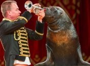 В Киеве запретили передвижные цирки с животными