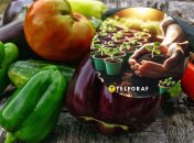 Календарь посадки овощей в Украине