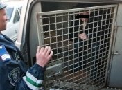 Мужчину-убийцу матери 7 детей посадили на 9 лет 