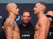 Гвоздик - Калайджич