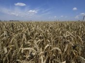 Аренда сельхозземель в Украине резко подорожала за прошлый год