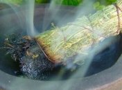 Создание доброй энергетики дома