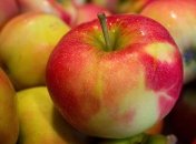 Диетологи назвали лучшие продукты для употребления весной