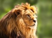 Зоопарк Рима — один из лучших в мире