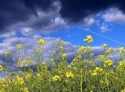 Дожди, грозы и солнце разделят Украину пополам: погода на 1 мая