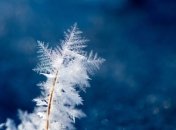 Какой праздник 21 декабря: народные приметы и запреты