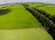 Депутаты подтвердили продление моратория на продажу земли