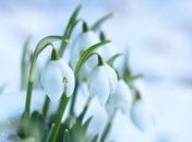 6 марта ощутимо первое дыхание весны