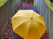 Погода будет "нелетной"