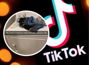 Обычная сушилка стала одним из трендом TikTok