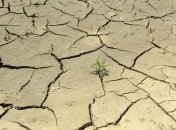 Эксперт: Украина может потерять половину пахотных земель