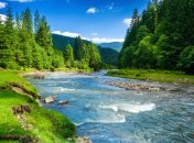 25 июня. Приметы дня