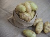 Картошка зеленеет по одной простой причине