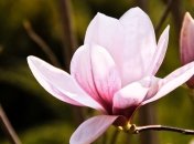 Приметы и обряды на 4 апреля – День Василия Солнечного