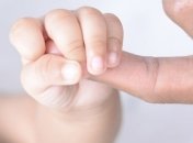 Иллюстративное фото