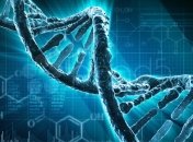 Ученые определили ряд генов, необходимых для регенерации (Видео) 