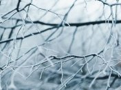 Синоптики спрогнозировали, какой будет погода зимой в Украине