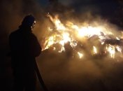 В Одесской области ребенок погиб в загоревшемся сене